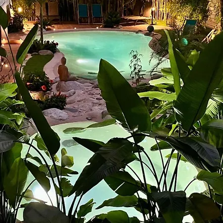 Appt Cosy Palmareda Apartment