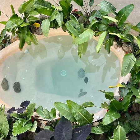 Appt Cosy Palmareda Apartment