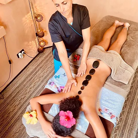 Appt Cosy Palmareda * Tarbes