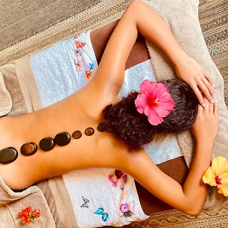 Apartment Appt Cosy Palmareda *