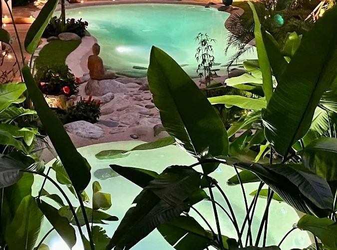 Appt Cosy Palmareda Apartment