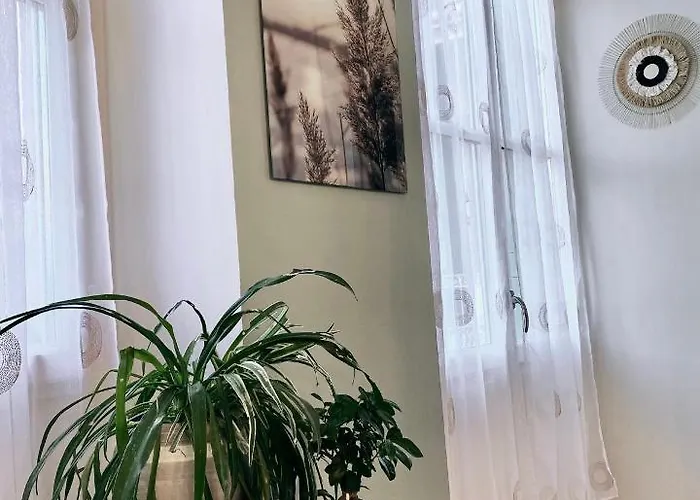 Apartment Appt Cosy Palmareda