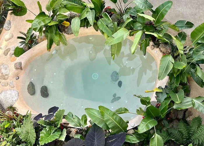 Appt Cosy Palmareda Apartment