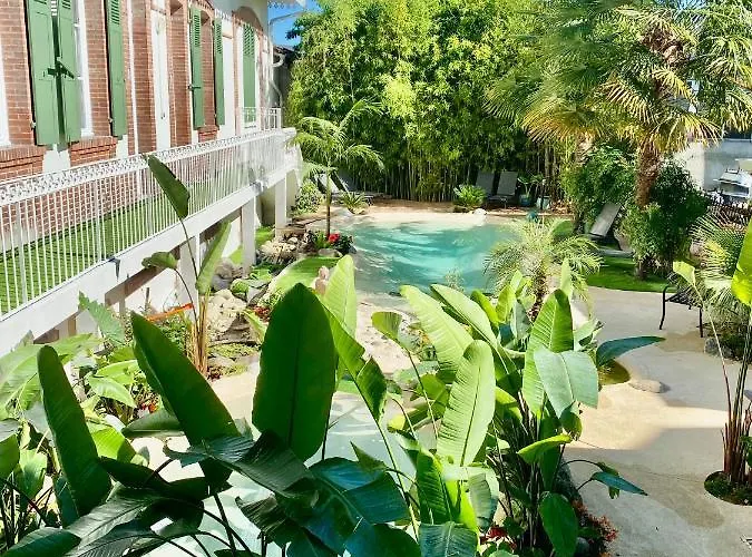 Appt Cosy Palmareda Apartment