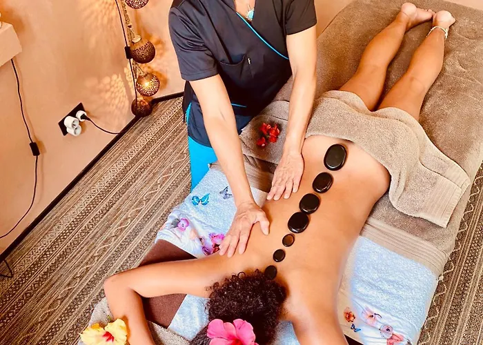 Appt Cosy Palmareda * Tarbes